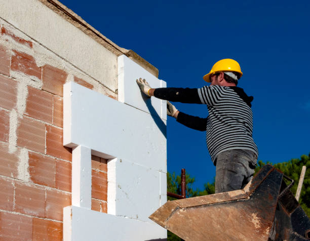 Best Crawl Space Insulation  in Levelland, TX