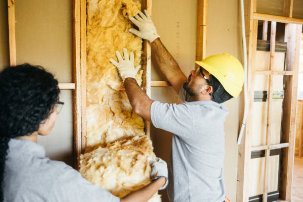 Best Attic Insulation Near Me  in Levelland, TX