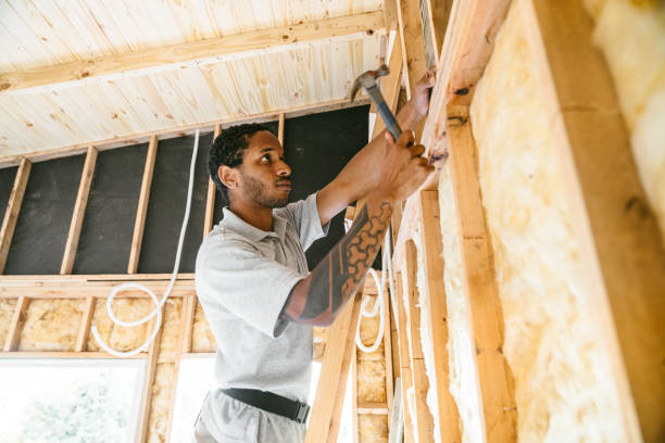 Best Insulation Replacement Services  in Levelland, TX