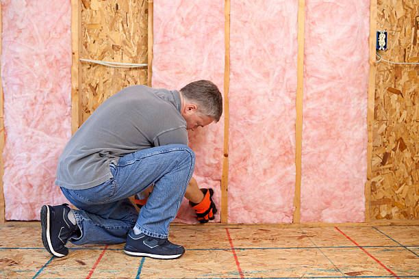 Best Local Insulation Services  in Levelland, TX