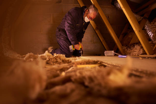 Best Insulation Removal Services  in Levelland, TX