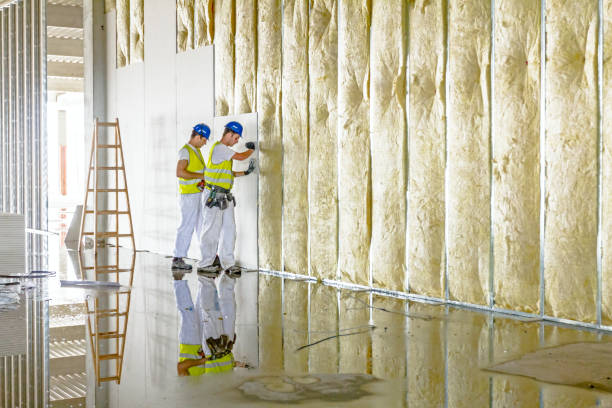Best Cellulose Insulation  in Levelland, TX